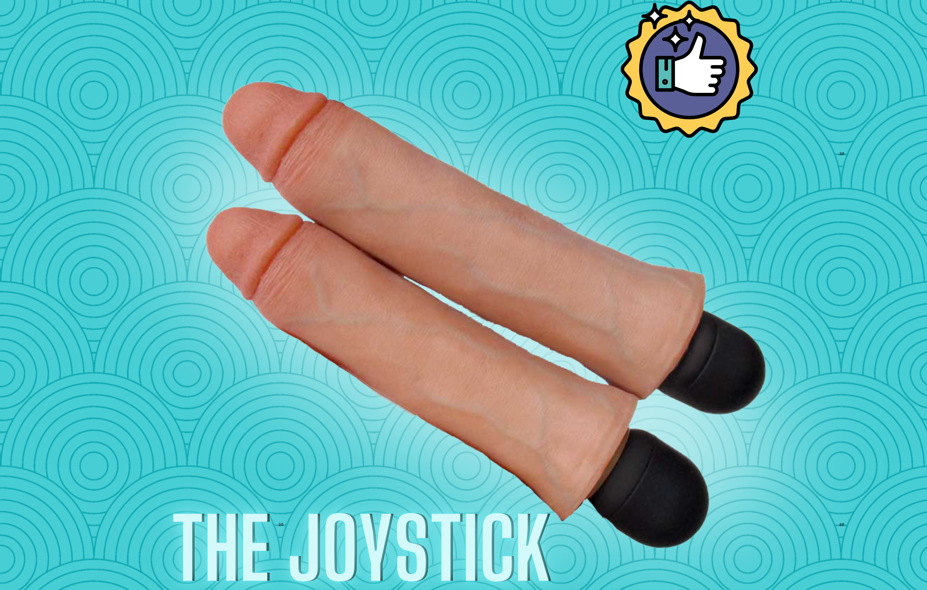 The Joystick from Transthetics Review