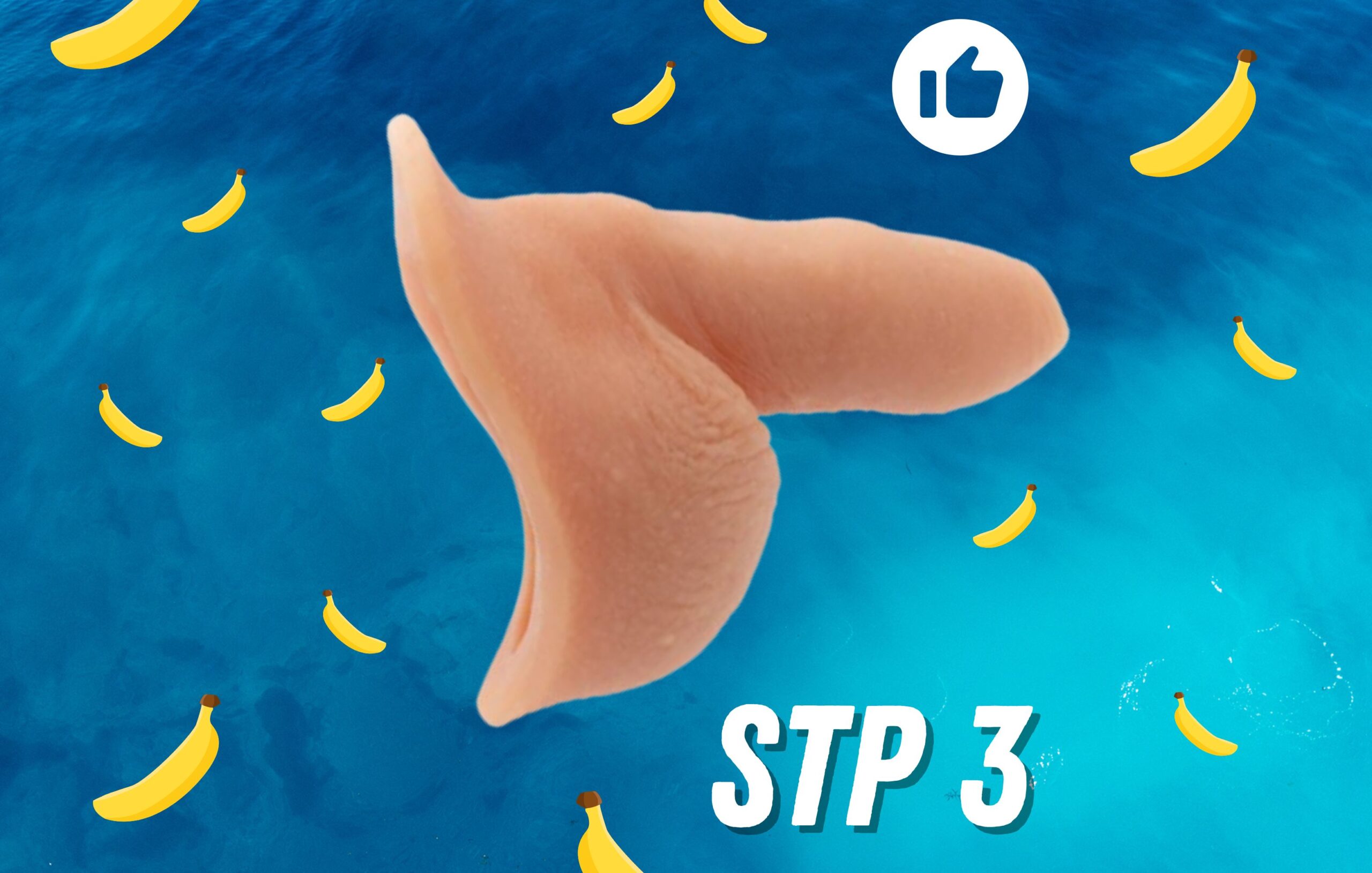 STP 3 from Banana Prosthetics Review